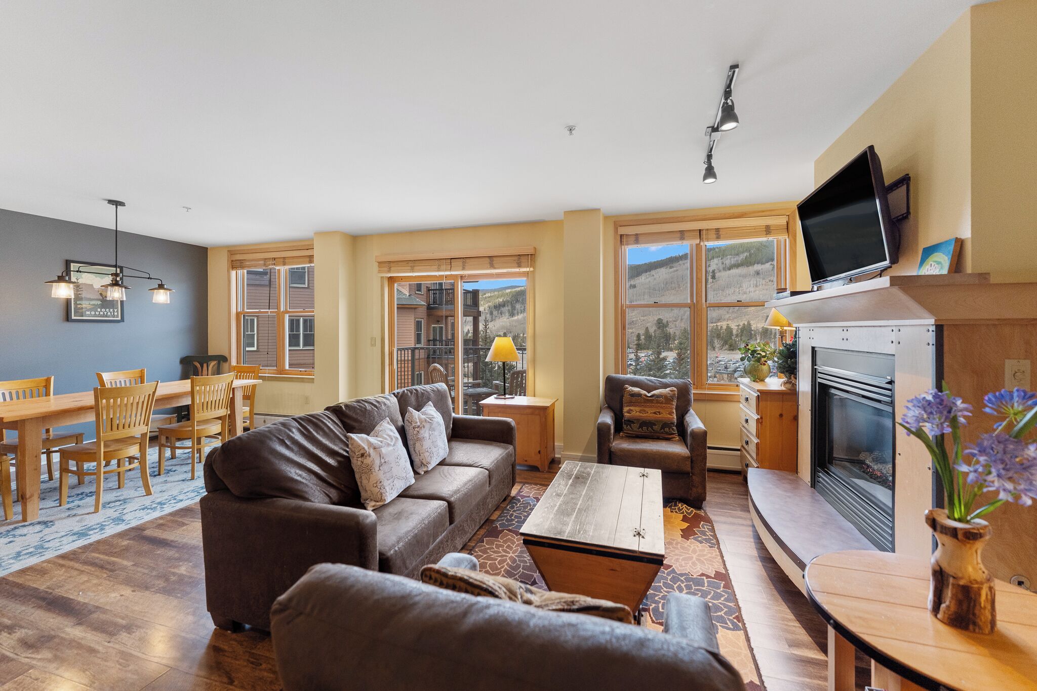 TV, fireplace, DVD player
