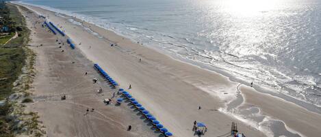 An aerial view of a beach with rows of blue umbrellas and beach chairs, a sandy shoreline, and the ocean in the background.