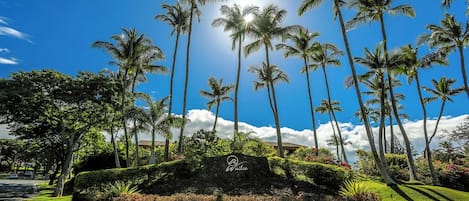 A landscaped area with palm trees and a sign that reads "Wailea."