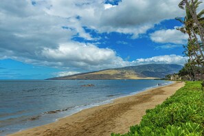 A beach with a sandy shore, a clear sky, and distant mountains.