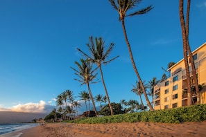 A beachfront hotel with palm trees, a sandy beach, and ocean views. - Kihei Beach Resort #107: Your Tropical Paradise (Kihei)
