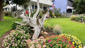 A well-maintained garden with a variety of colorful flowers and a prominent tree stump centerpiece.