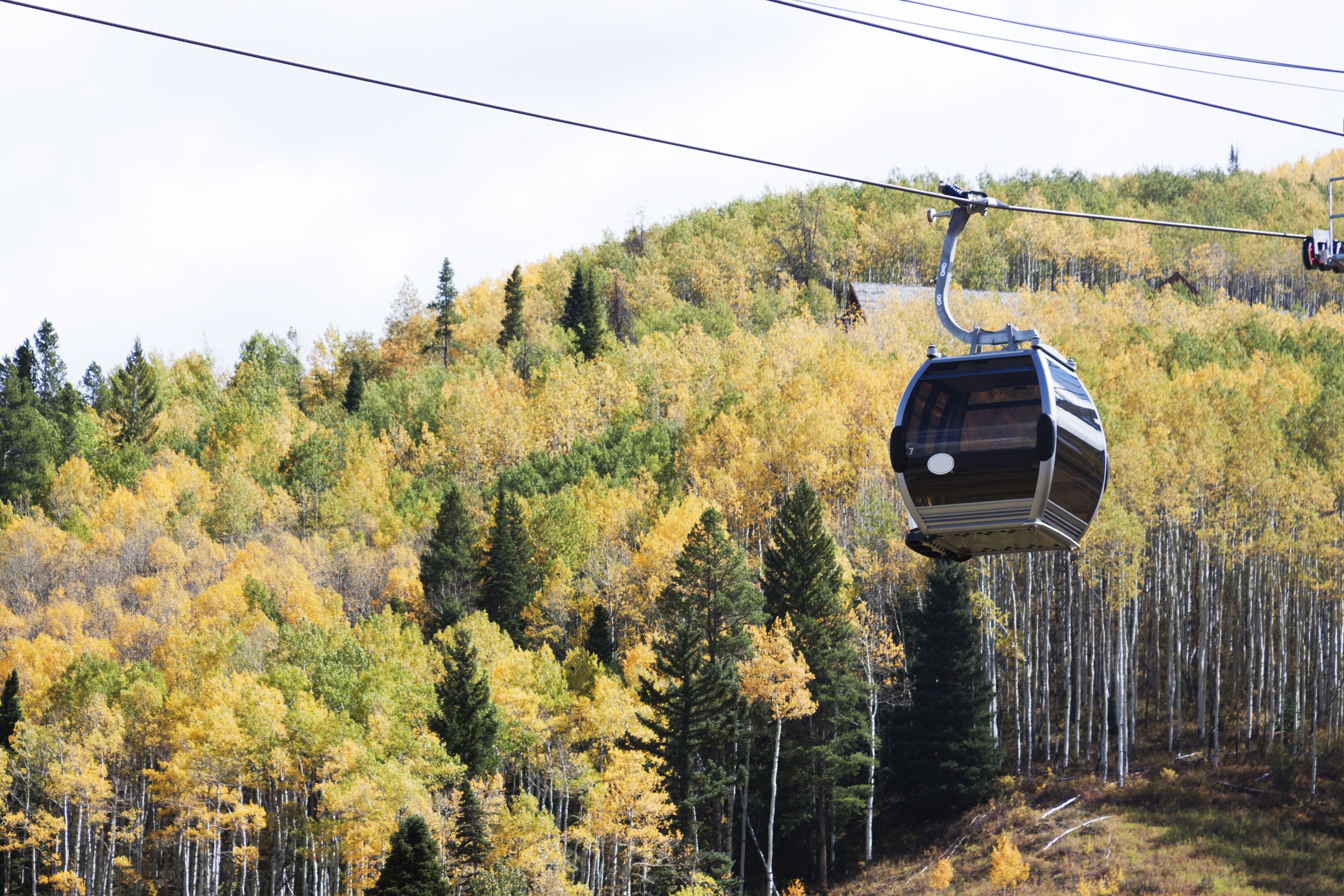 Une télécabine suspendue au-dessus d’une colline boisée, dont le feuillage arbore les couleurs de l’automne.