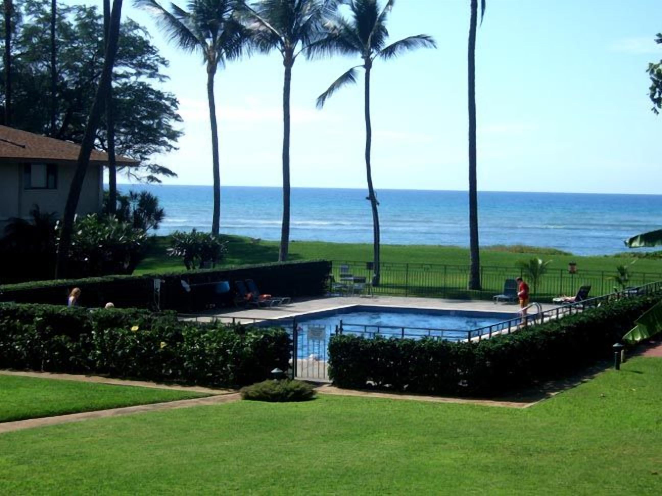 A pool area with a view of the ocean, surrounded by palm trees and a well-maintained lawn.