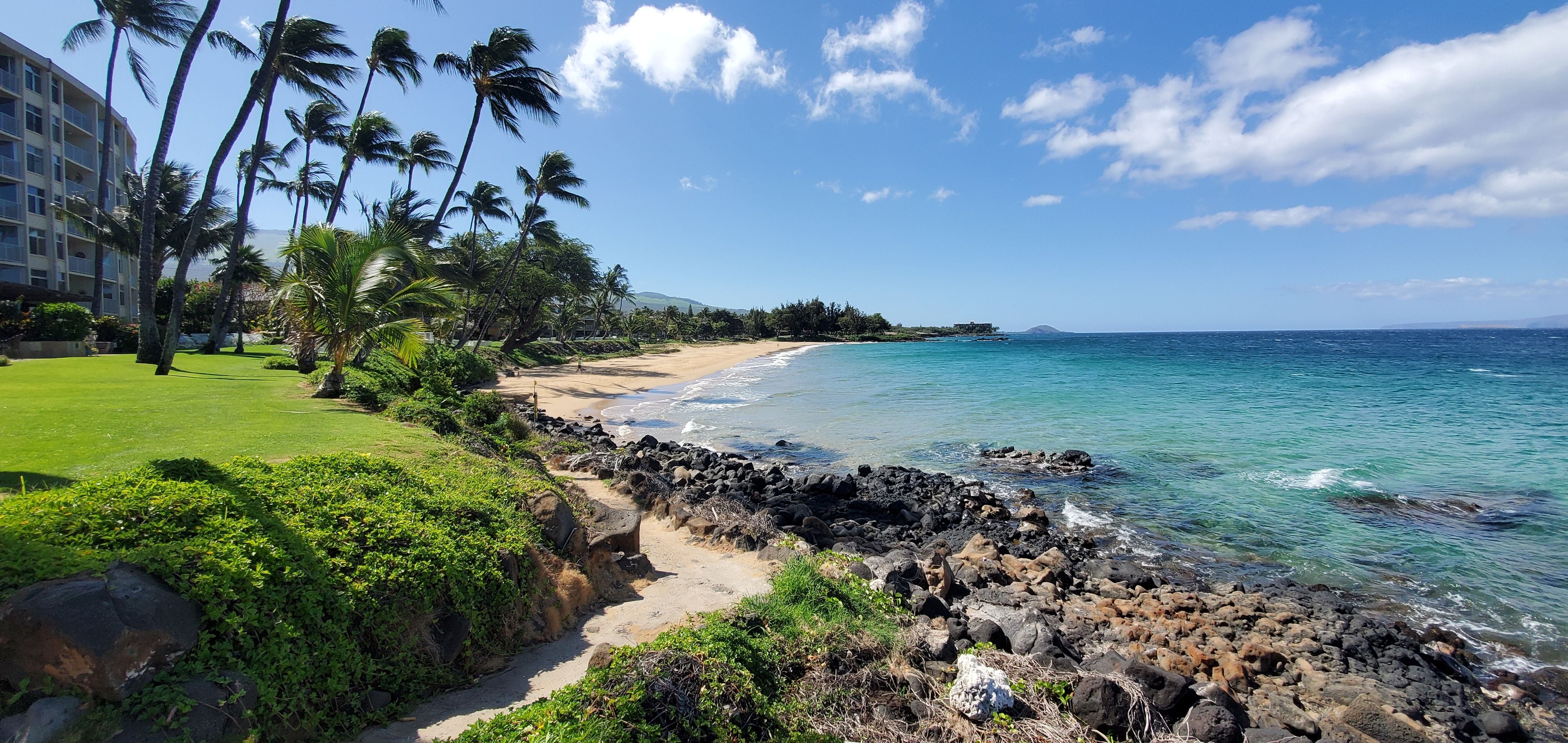 A beach with a rocky shoreline, palm trees, and a hotel in the background.