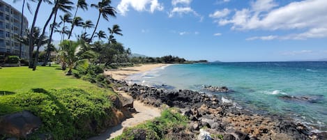 Une plage bordée d’une côte rocheuse, avec des palmiers et un hôtel en arrière-plan.