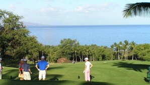 Un campo da golf con vista sull'oceano, palme e cielo sereno.