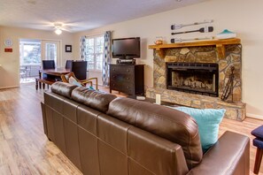 电视、壁炉、DVD 播放器、书