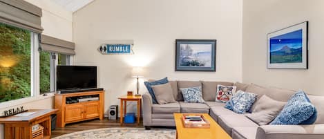 TV, fireplace, ping pong, books