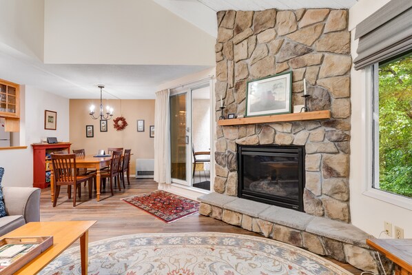 TV, fireplace, ping pong, books