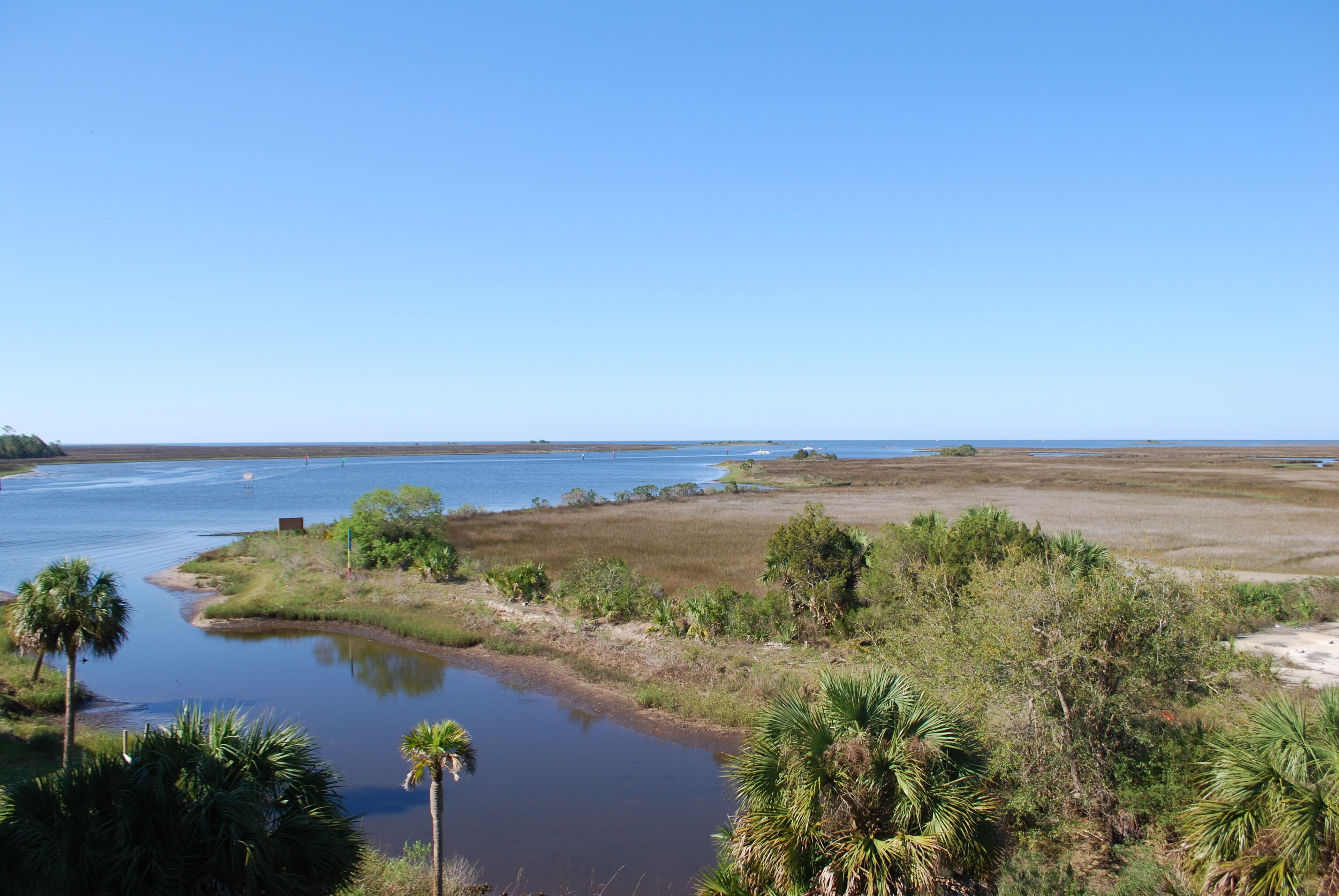 A coastal landscape with a river, marshy areas, and palm trees.