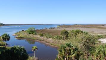 A coastal landscape with a river, marshy areas, and palm trees.