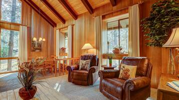 Télévision, cheminée, jeux vidéo, lecteur de DVD