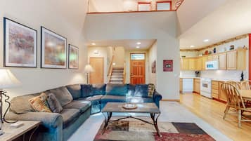 Télévision, cheminée, lecteur de DVD, livres