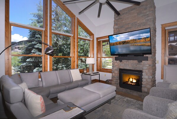 テレビ、暖炉、DVD プレーヤー、書斎 / ワークスペース