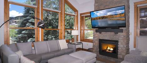 TV, fireplace, DVD player, offices