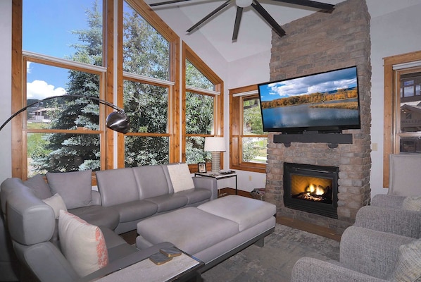 TV, fireplace, DVD player, offices