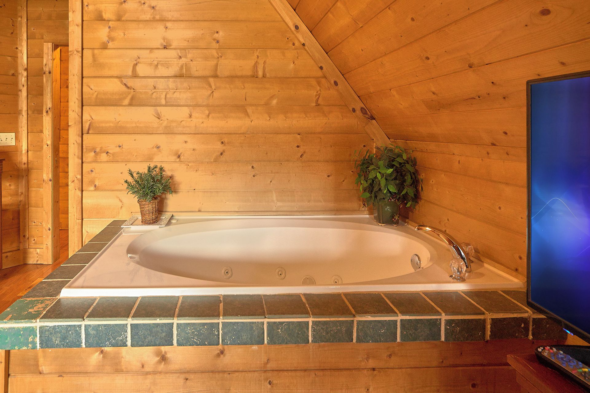 A wooden cabin with a large bathtub, two potted plants, and a television.