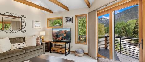 Smart TV, fireplace, DVD player, books