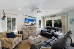 Télévision à écran plat, lecteur de DVD, livres, vidéothèque