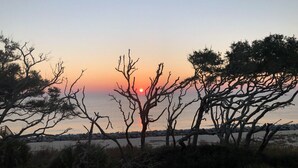 Ein Sonnenuntergang mit kahlen Bäumen und einer felsigen Küstenlinie.