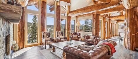 TV, fireplace, DVD player