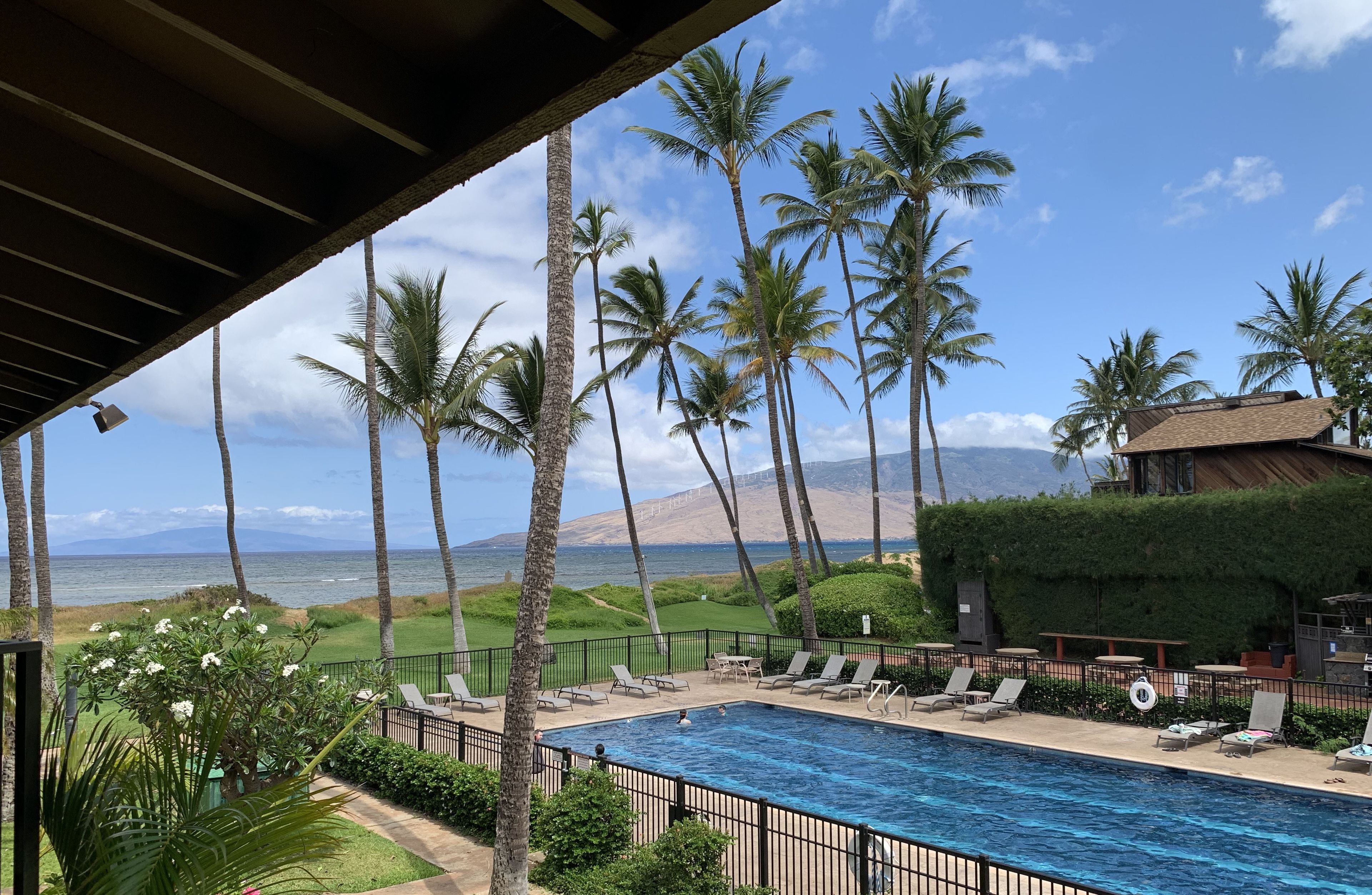 A pool area with lounge chairs, palm trees, and a view of the ocean.