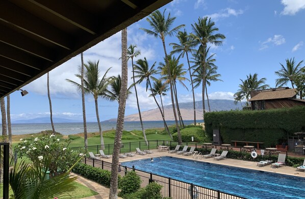 A pool area with lounge chairs, palm trees, and a view of the ocean.