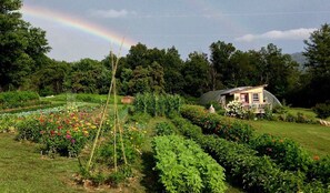 المنطقة المحيطة بالمنشأة