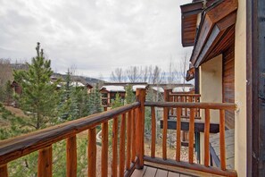 Property grounds - Great for Families! Winter Ski Shuttle! Cozy Fireplace! (Steamboat Springs)
