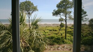 A view through a window of a beach with pine trees and a grassy area.
