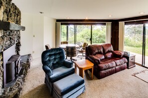 TV, fireplace, DVD player, books