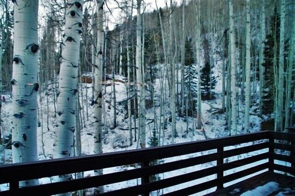 Interior - Townhome just a Short Walk to Slopes at Purgatory Ski Resort, WiFi, Grill (Durango)