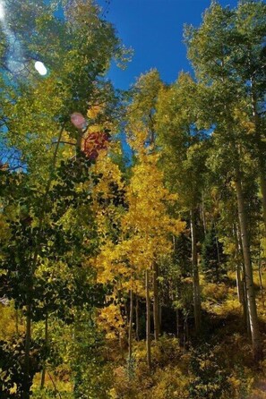 Miscellaneous - Townhome just a Short Walk to Slopes at Purgatory Ski Resort, WiFi, Grill (Durango)