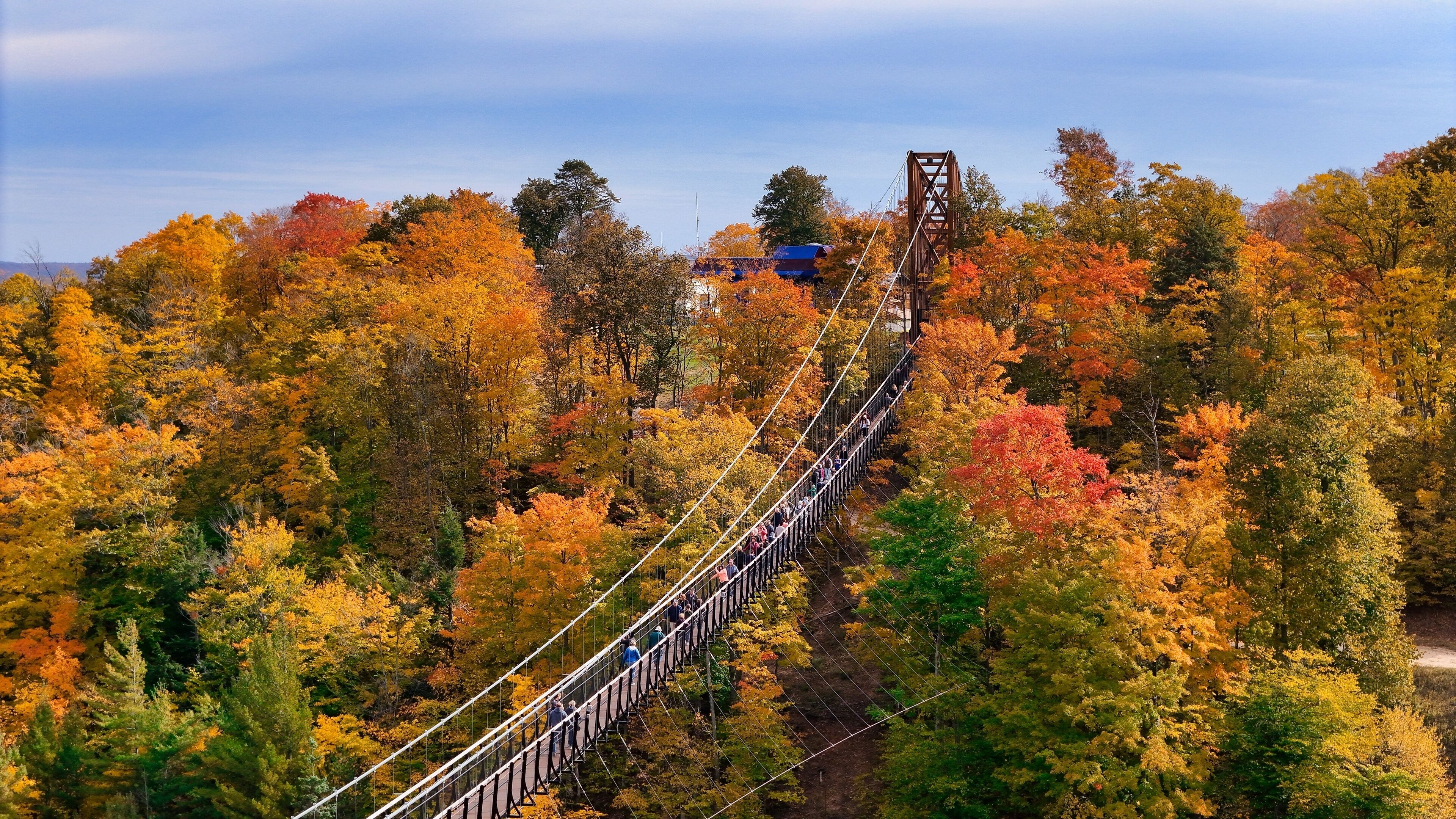 A suspension bridge in a forested area with autumn foliage.