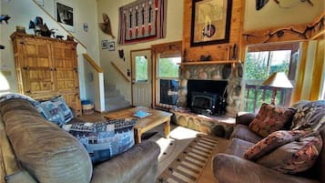 Televisión, chimenea, reproductor de DVD y libros