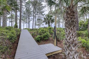 Un paseo marítimo de madera que serpentea por un área boscosa con árboles altos y una masa de agua al fondo.