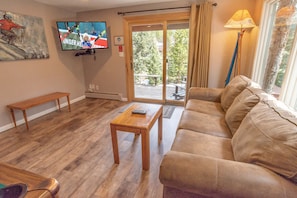 TV, fireplace, DVD player