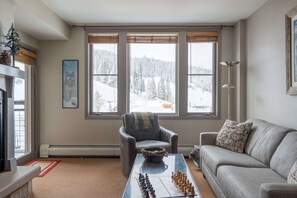 Smart-TV, Kamin, DVD-Player, Stereoanlage