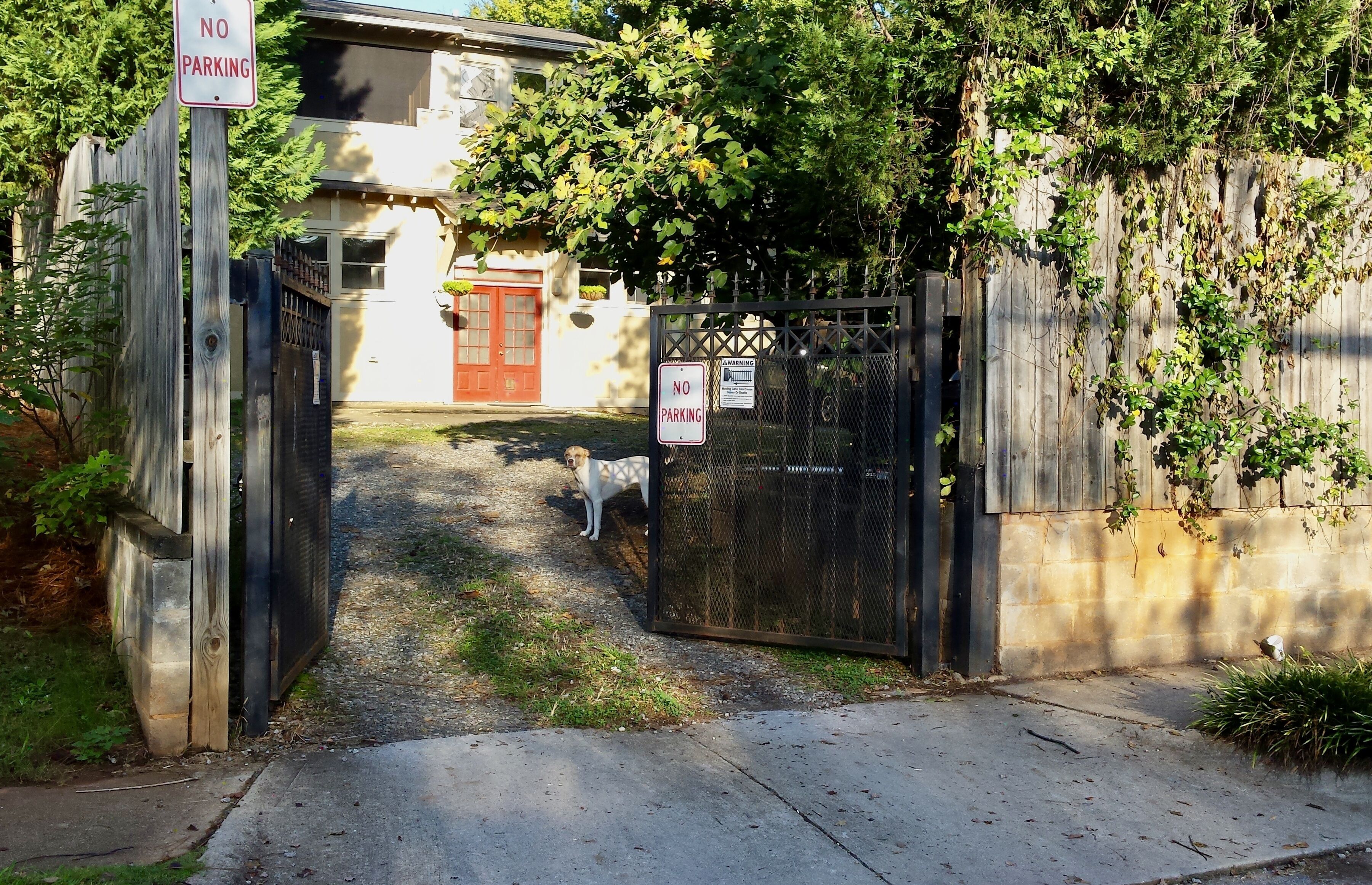 Une entrée fermée par un portail, agrémentée d’un panneau « Interdiction de stationner », un chien se tenant au milieu, et un bâtiment avec une porte rouge en arrière-plan.