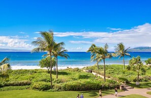 Guests can enjoy a serene ocean view and stroll along the paved pathway amidst lush green lawns and palm trees.