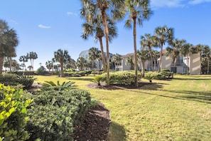 A well-maintained outdoor area with palm trees, manicured lawns, and a building with multiple floors in the background.