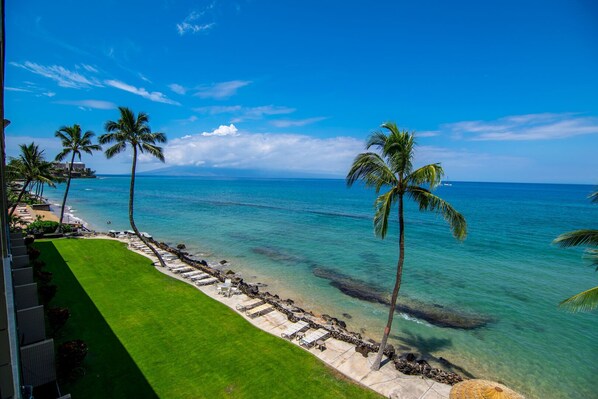 A beachfront view with palm trees, clear blue water, and a well-maintained lawn with lounge chairs.