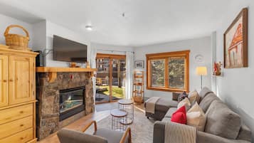 Televisión, chimenea y reproductor de DVD