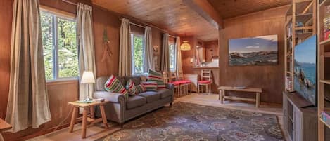 Smart TV, reproductor de DVD y libros