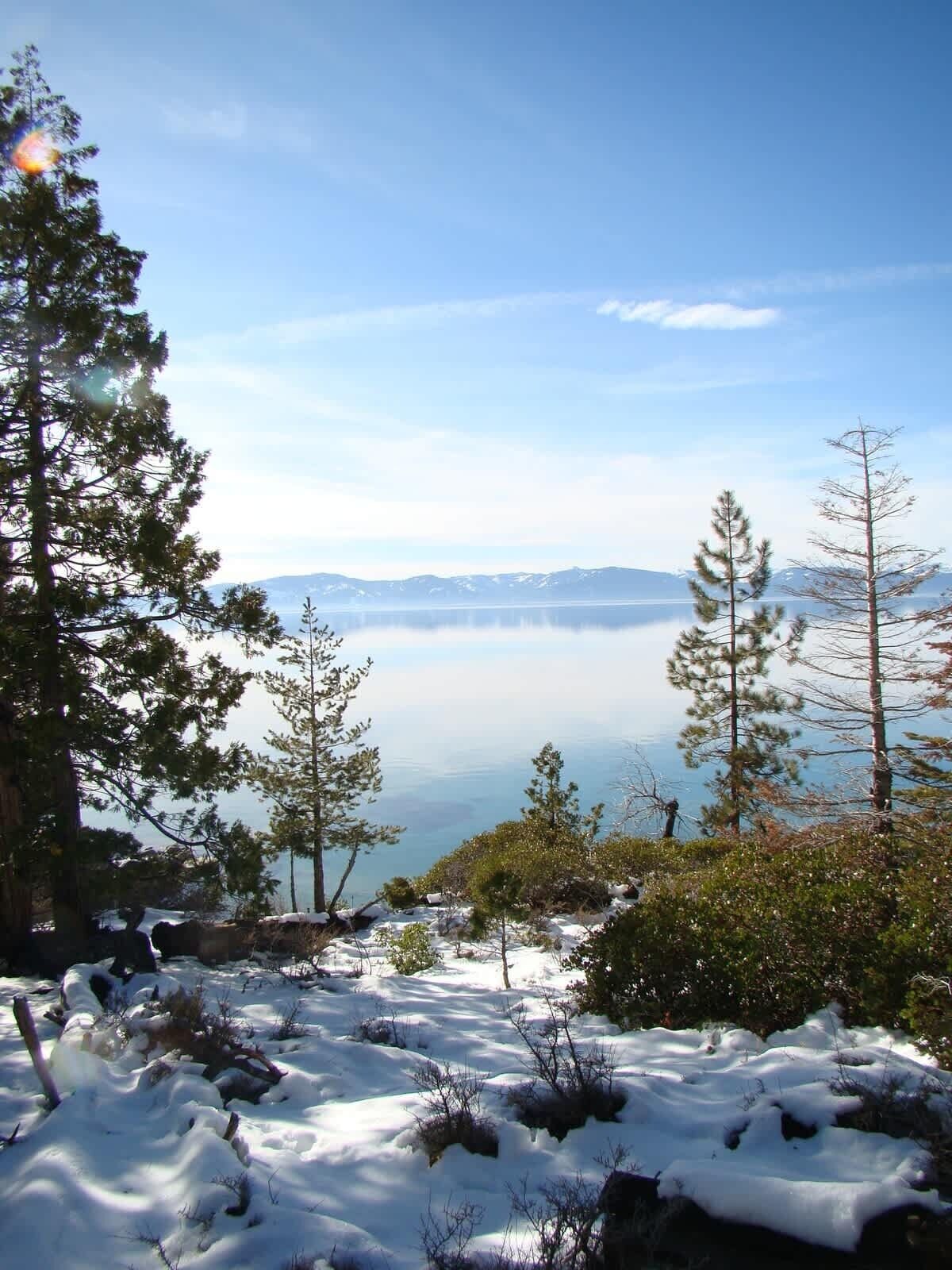 Un paysage enneigé avec des arbres et une vue dégagée sur un lac et des montagnes au loin.