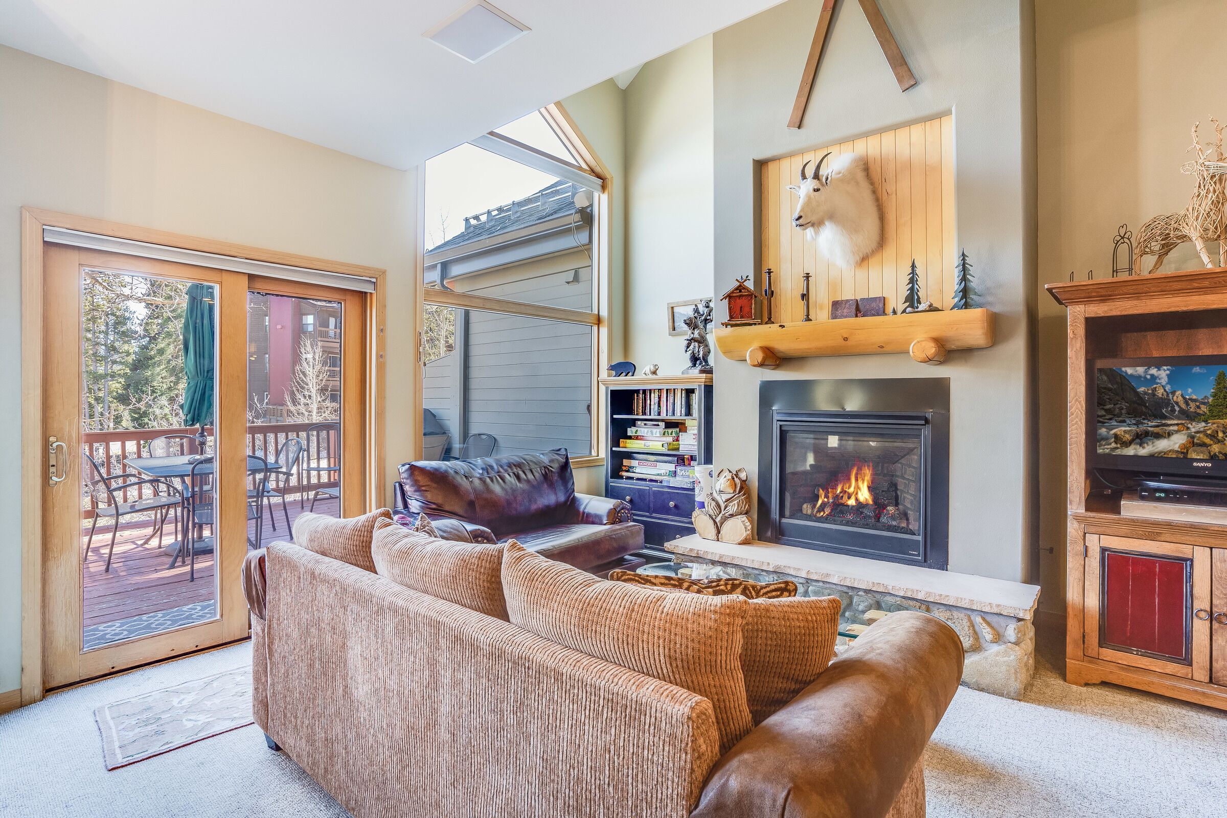 Fernseher, Kamin, DVD-Player