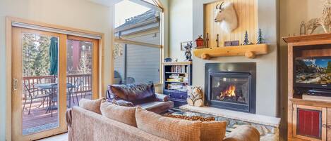 TV, fireplace, DVD player