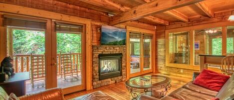 TV, fireplace, video games, DVD player