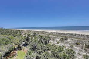 A coastal landscape with a beach, dense vegetation, and a clear sky.